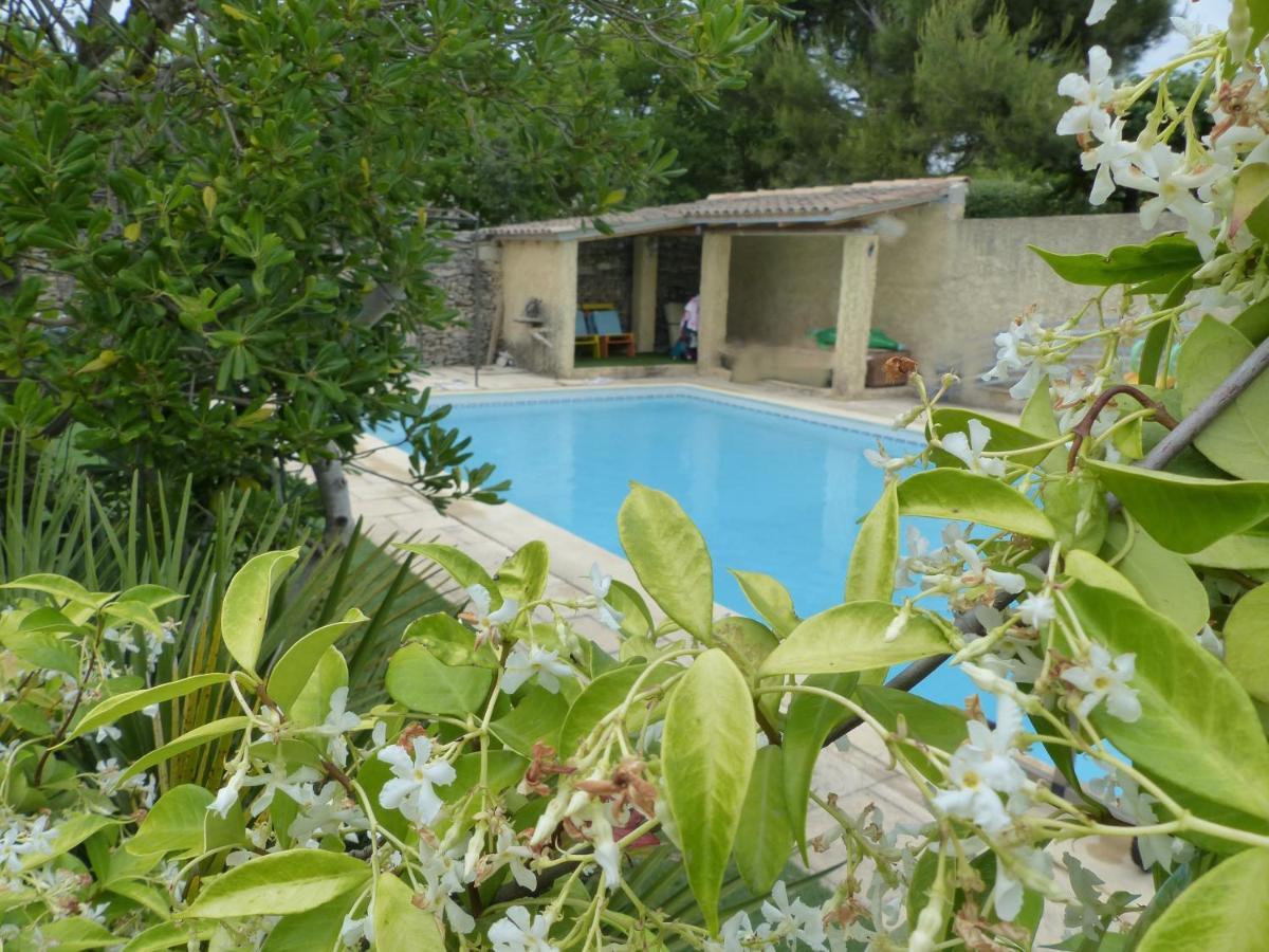 La Quietude De St Antoine - Piscine Privee Βίλα LʼIsle-sur-la-Sorgue Εξωτερικό φωτογραφία